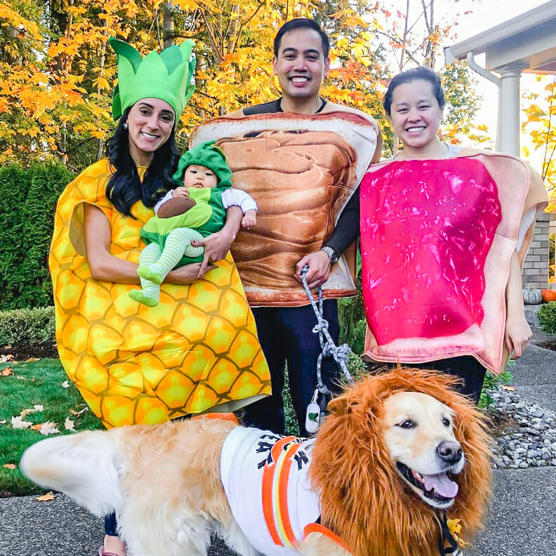 10 Best Matching Dog and Owner Halloween Costumes